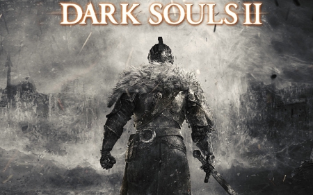 Новая темная душа [Dark Souls 2 #1]